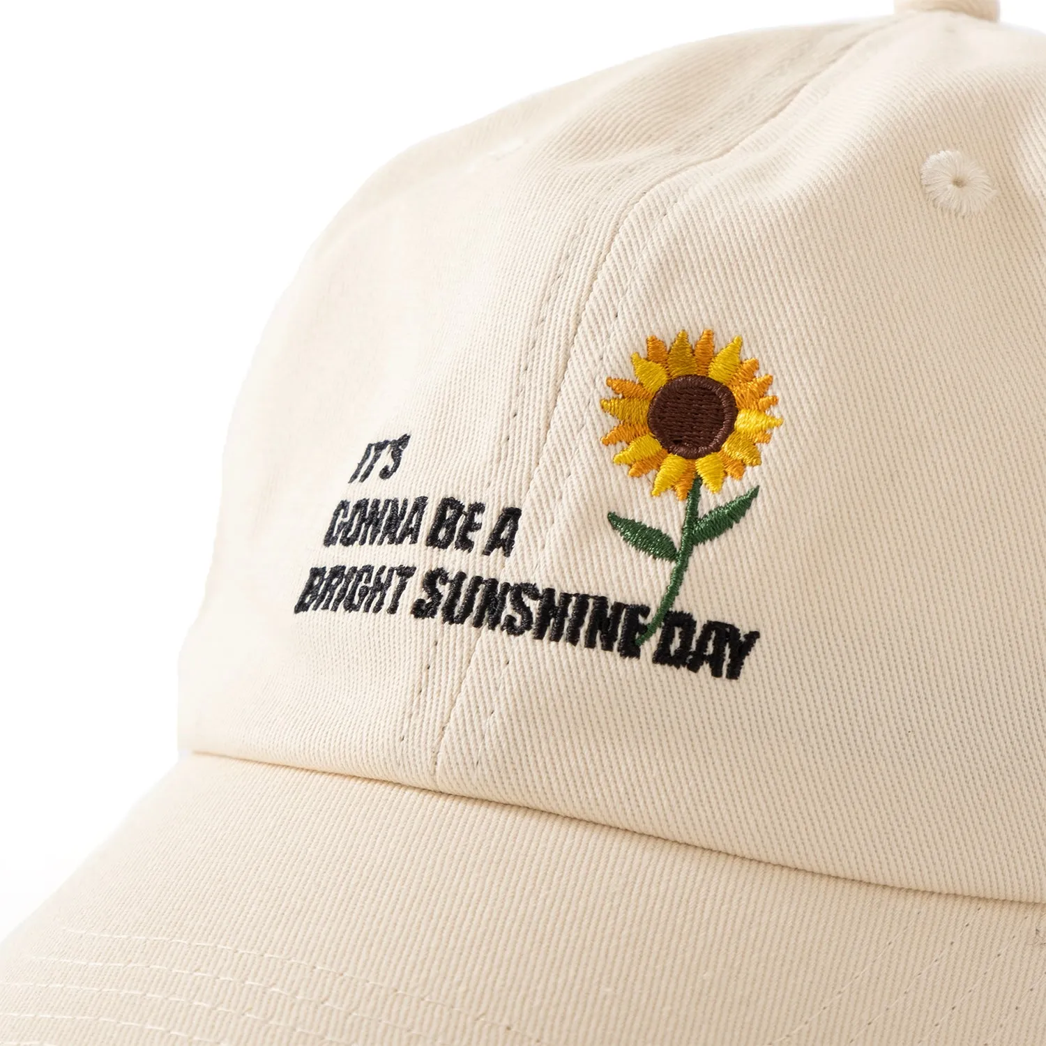 (AC267) Graphic Embroidery Cap